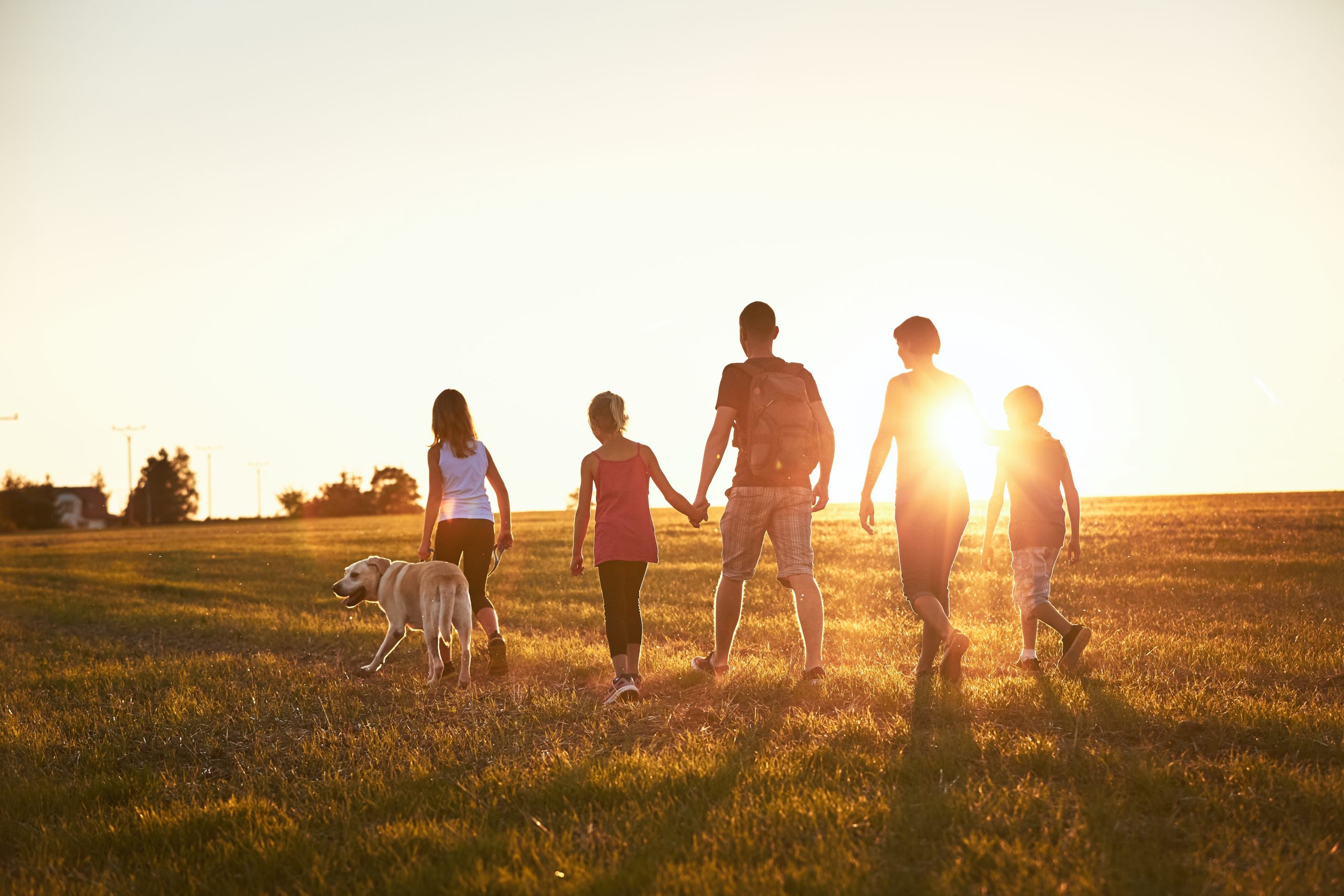 A family of five and their dog walk across a paddock together into the setting sun